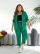 Стильний прогулянковий костюм plus size арт. 0523/1 48-50 Трава